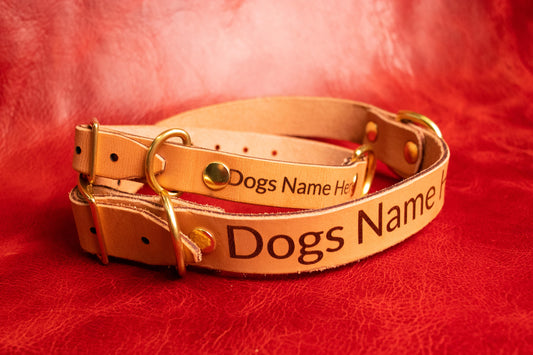 Dog Collar